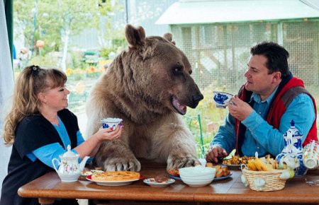 Семейная пара живет вместе с медведем 23 года. ФОТО