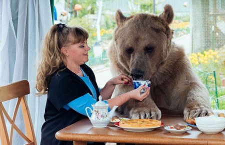 Семейная пара живет вместе с медведем 23 года. ФОТО