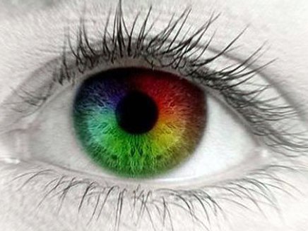 Очки EnChroma возвращают дальтоникам правильное цветовое восприятие