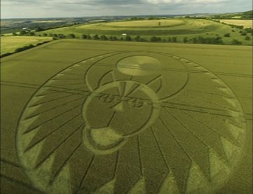 Новый загадочный рисунок на поле в Англии. ВИДЕО