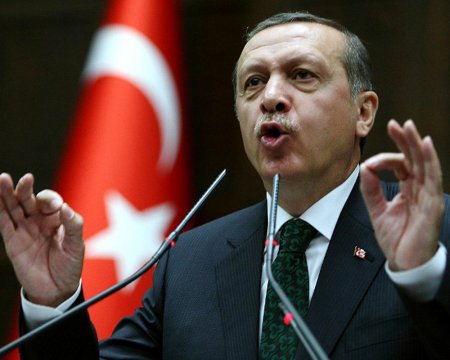 Эрдоган пообещал дать турецкое гражданство беженцам из Сирии