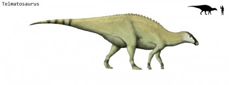 На челюсти динозавра ученые обнаружили доброкачественную опухоль