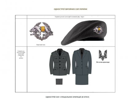 Новая униформа и знаки различия ВСУ – полное портфолио