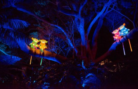 “Яркий Сидней” - фестиваль света в крупнейшем городе Австралии. ФОТО