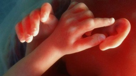 Прорыв в медицине: В Украине скоро родится ребенок трех родителей