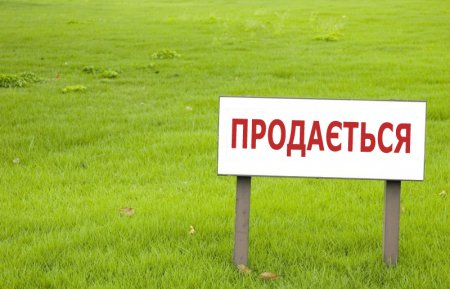 Прокуратура взялась за спасение "золотой земли" в Киевской области