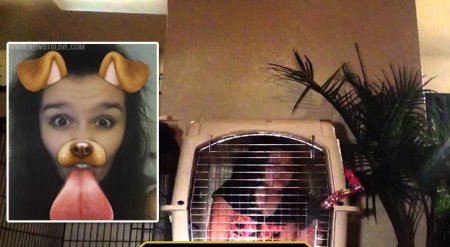 Американец жестоко наказал 17-летнюю дочь за "собачье селфи"
