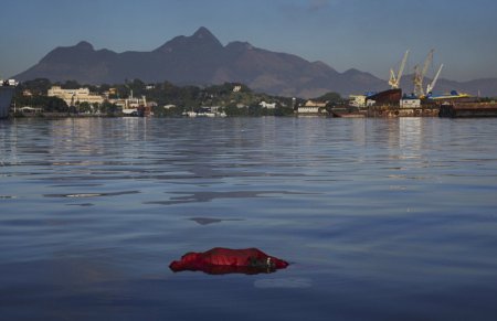 Соревноваться в бухте Рио-де-Жанейро смертельно опасно - печальная реальность. ФОТО