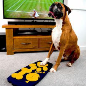 В Англии специально для собак создали телевизионный пульт