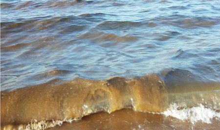 "Волосы на ногах слипаются" - очевидцы жалуются на грязное море вблизи Керчи