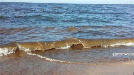 "Волосы на ногах слипаются" - очевидцы жалуются на грязное море вблизи Керчи