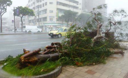 Последствия тайфуна в Японии: уже есть первые жертвы