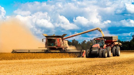 Валовый сбор зерновых в Украине бьет все рекорды!