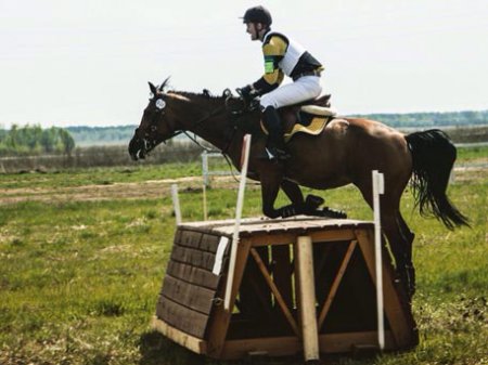 На соревнованиях по конному спорту в Беларуси погиб спортсмен из России