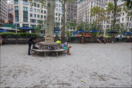 Реалии Нью-Йорка: мало детей, много собак. ФОТО