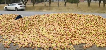 Праздник у жителей Керчи: на дороге рассыпалась фура яблок. ВИДЕО