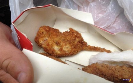 Осторожно фаст-фуд: в московском KFC посетителю продали мышь в панировке. ФОТО