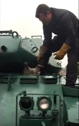 В США спасли упитанного енота, застрявшего в танке: видео