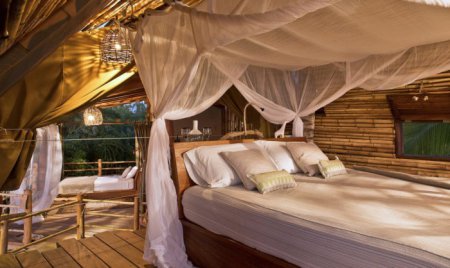 Райское место в Мексике: бамбуковый отель, расположенный на дереве. ФОТО