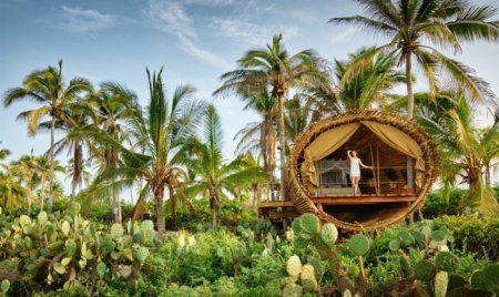 Райское место в Мексике: бамбуковый отель, расположенный на дереве. ФОТО