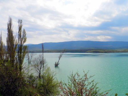 Крупнейшее водохранилище Крыма находится на грани полного исчезновения
