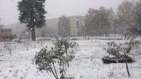 На Киевщину пришла зима. Фотофакт