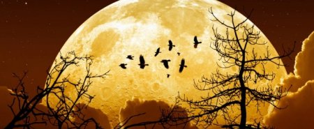 14 ноября впервые за 70 лет Луна рекордно приблизится к Земле