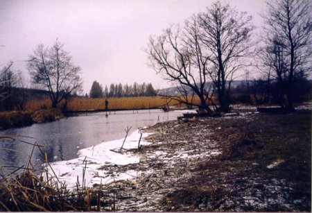 Первые жертвы зимы: На Тернопольщине от переохлаждения умерли два человека