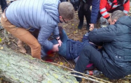 В Ужгороде на школьницу упало спиленное коммунальщиками дерево