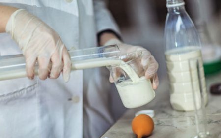 Скандал в Крыму: в молочных продуктах местного производства обнаружили опасные вещества