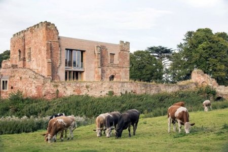 В Великобритании развалины старого замка превратили в современный дом. ФОТО