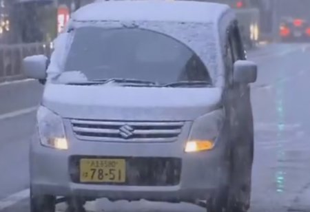В Японии впервые за 50 лет осенью пошел снег. ВИДЕО