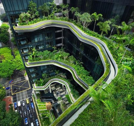 В Сингапуре появилось райское место для отдыха - уникальный отель-сад. ФОТО
