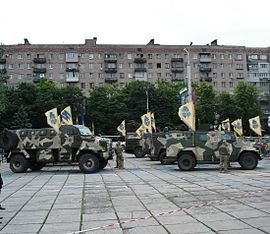 Теперь полк "Азов" известен во всем мире