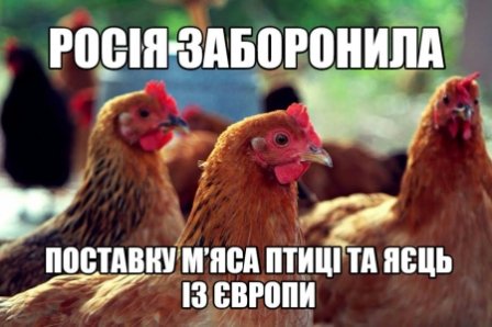Россия запретила поставку мяса птицы и яиц из Европы