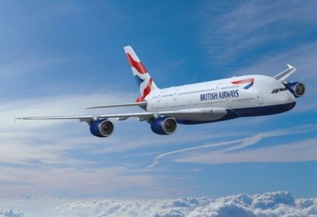 British Airways адержали рейс в США из-за мыши в самолете