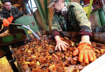 Из-за незаконной добычи янтаря Украина ежедневно теряет 3 млн грн
