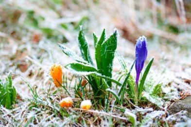 В страну возвращаются заморозки