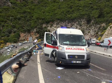 В Турции перевернулся микроавтобус с туристами: погибло 20 человек