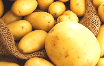 В апреле 2017 Украина увеличила экспорт картофеля вдвое