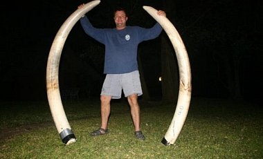 В Зимбабве слониха насмерть раздавила профессионального охотника