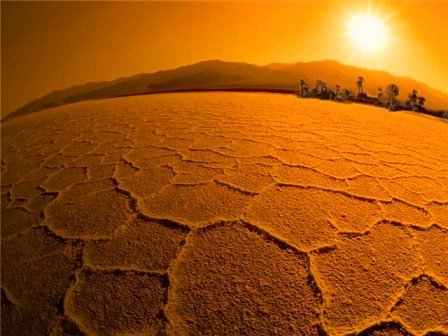 В США в результате адской жары гибнут люди