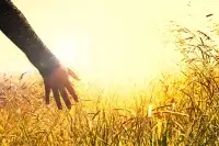 Україна піднялася у рейтингу щасливих країн і зрозуміла цінність щастя