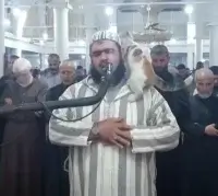 В Алжире во время ночной молитвы кот заскочил на имама – что было дальше