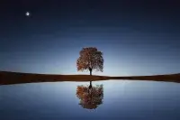 Вита Яковлева. Харьковские дневники. Зеркало Вселенной