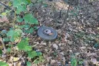В Харьковской области мужчина взорвался на мини на собственном огороде