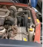 Гадюка зі Львівщини приїхала до Києва під капотом машини