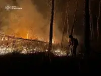 В национальном парке "Святые горы" в Донецкой области пожар уничтожил 1500 гектаров леса