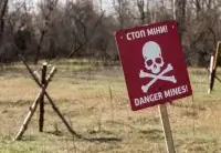 В Украине разбросан миллион мин, а заминированная площадь больше Англии